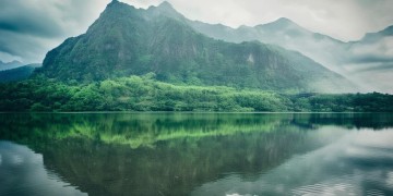 鲁能小区物业现在招工吗？